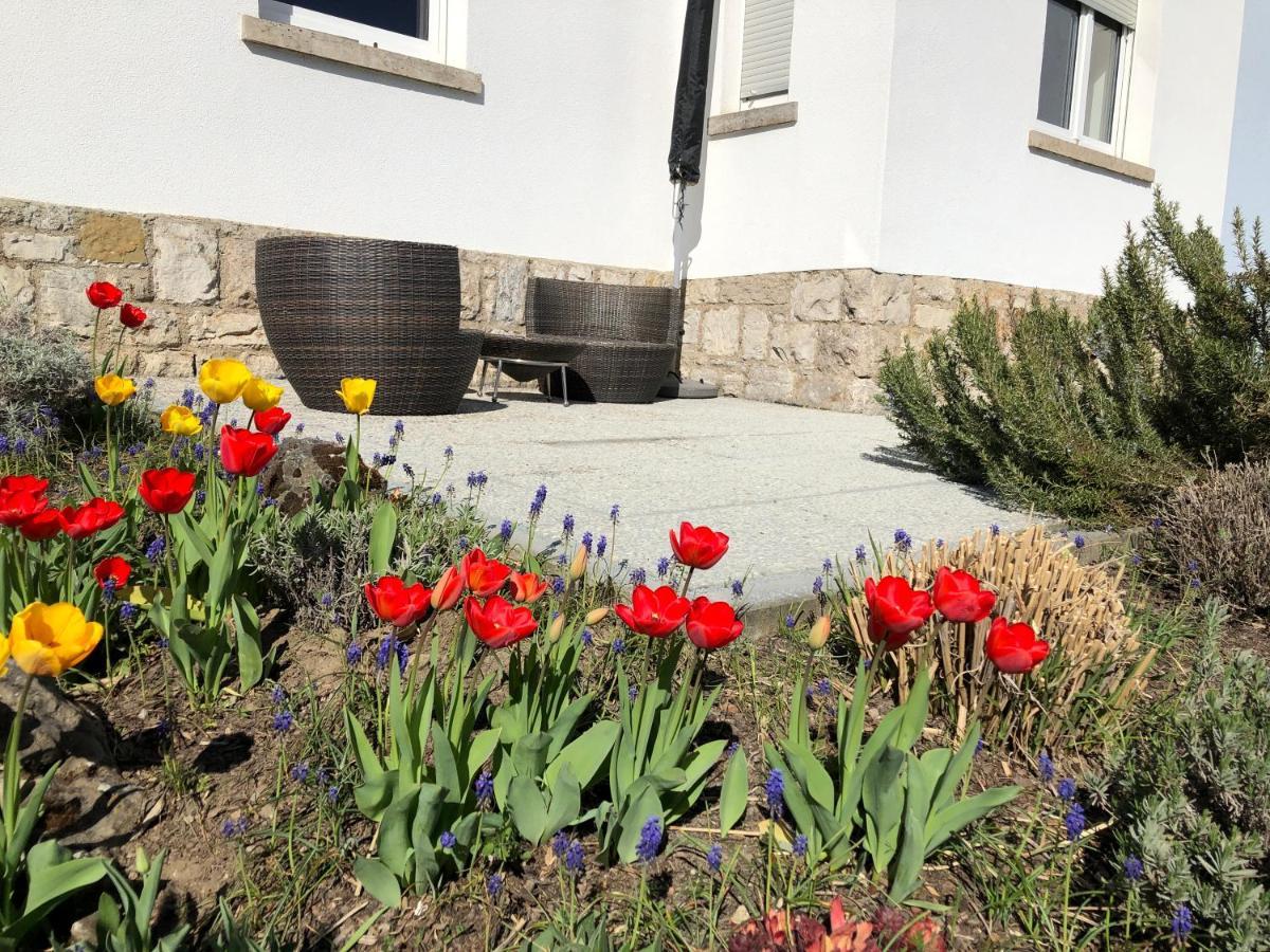 אוקסנפורט Altstadt Naehe 7 Min Fussweg Ueber Alte Maibruecke Zu Pension Mit Balkon & Garten, Ideal For Long Stay, Relocation מראה חיצוני תמונה